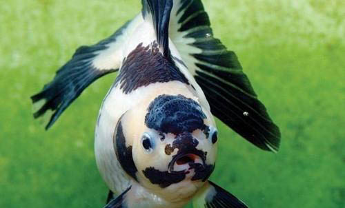 釣魚和氣壓有關嗎