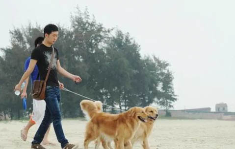 狗年齡計算方法是什么