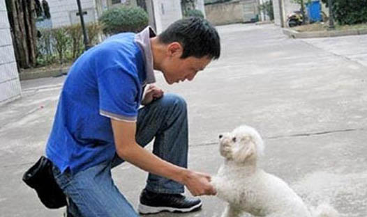 把狗丟下來了會倒霉嗎