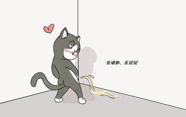 小貓能吃冷藏的罐頭嗎