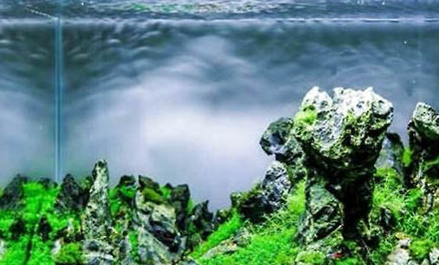 魚缸過濾有哪些方式