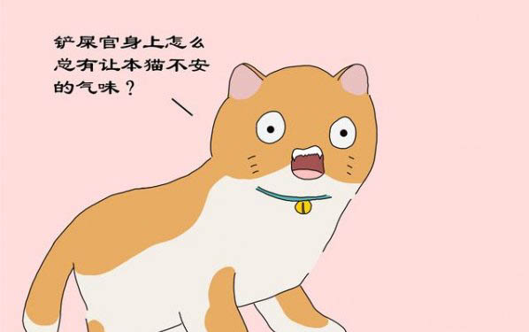 小貓生病的癥狀表現