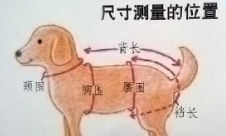 狗狗球蟲吃拜寵清行嗎