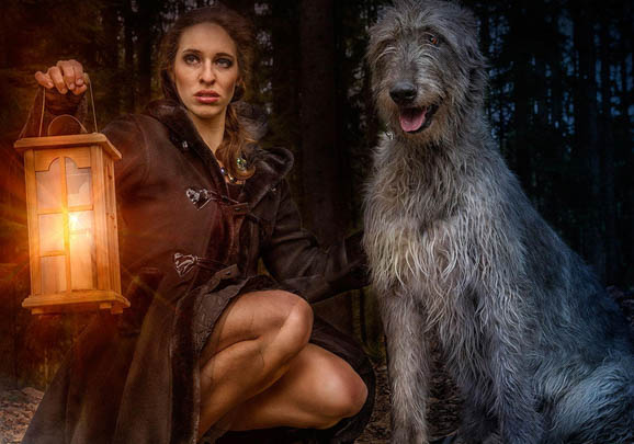 愛爾蘭獵狼犬嘔吐白沫的原因及處理方法