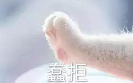 小貓幾個月可以注射疫苗