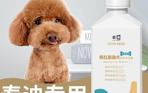 狗狗為什么會突然瘋跑呢