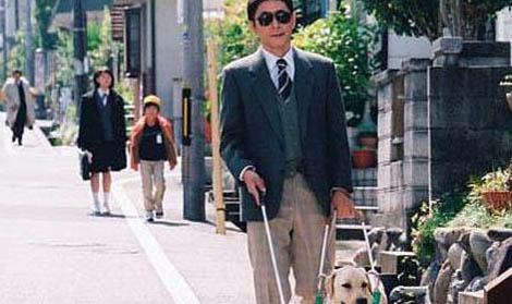 狗狗去哪里領養?