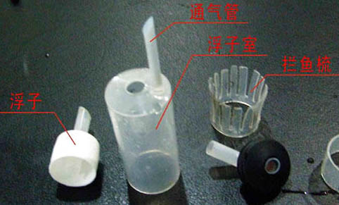 魚缸混養有哪些注意事項