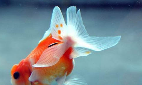 釣魚氣溫多少適合釣魚
