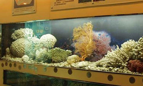 冬天養魚要注意什么