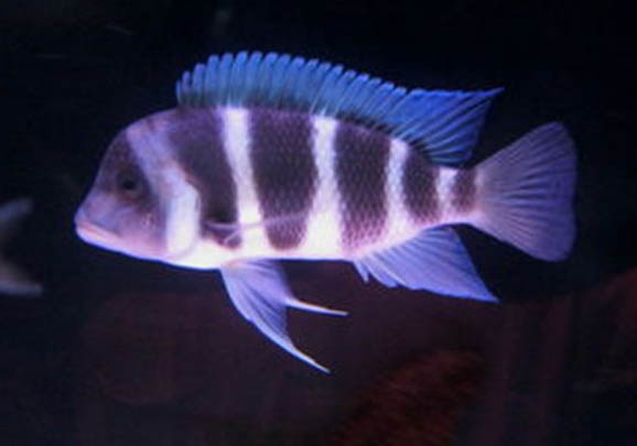 4月份釣魚釣深還是釣淺
