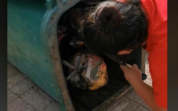 貓隨地小便怎么解決