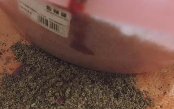 貓瘟的貓走過的地方就會有病毒嗎?