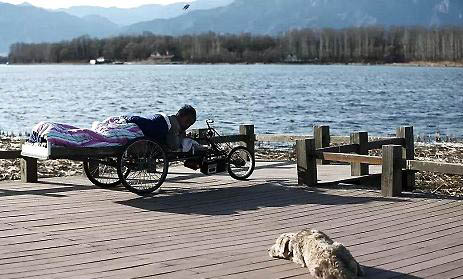 狗狗吐白沫不吃東西沒精神怎么辦