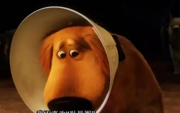 貓砂盆多少錢