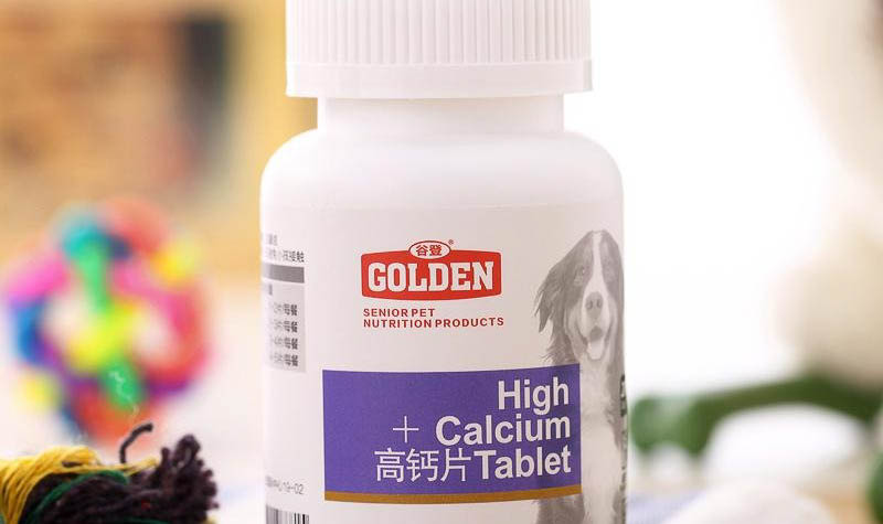 狗狗后腿血管在哪個(gè)部位