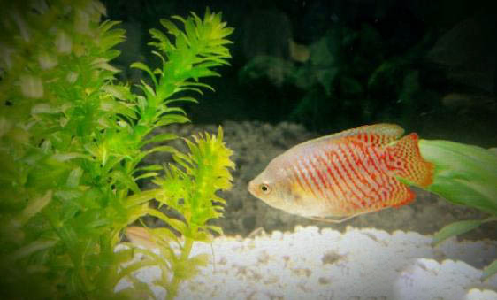 5月份水庫(kù)釣魚(yú)釣深還是釣淺
