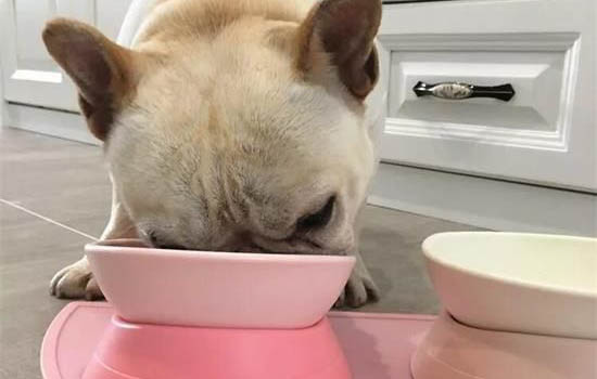 狗卡住喉嚨的自救方法?