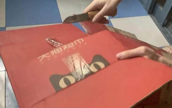 貓一般能活幾年到幾年