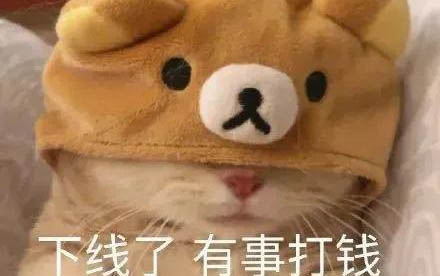 小貓貓鼻支的癥狀會不吃不喝嗎