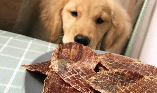 狗狗便秘有哪些解決方法