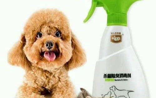 狗狗穿生理褲如何拉屎拉尿