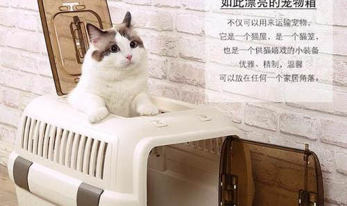 寵物貓洗澡用人的沐浴露可以嗎