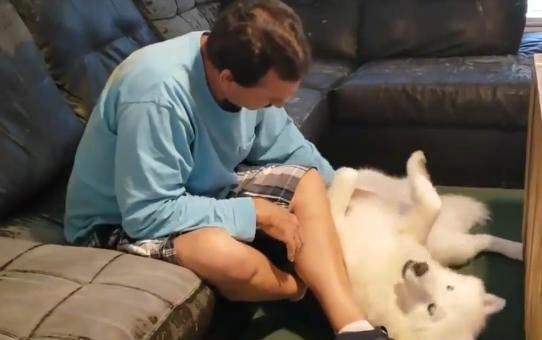 小狗o型腿可以恢復嗎?