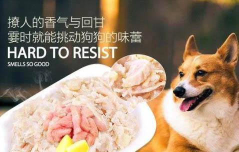 狗狗耳朵臟是耳螨嗎