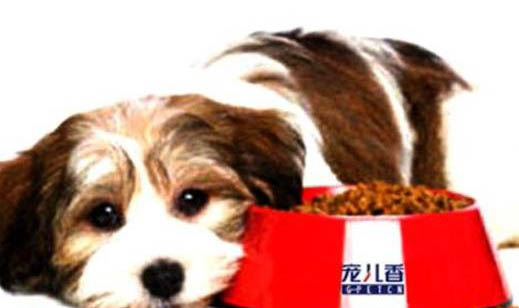 狗狗傳染性肝炎的癥狀有哪些