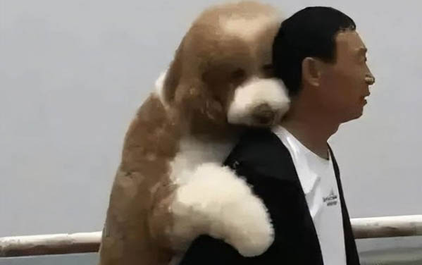 小狗崽可以喝純牛奶嗎