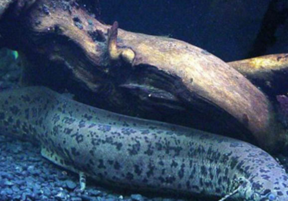 4月份釣魚釣深還是釣淺