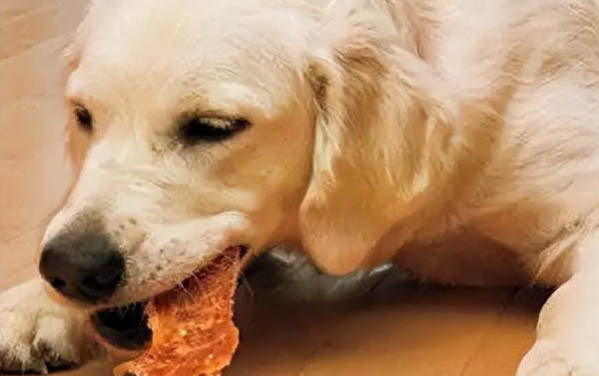 小狗狗洗澡注意事項是什么
