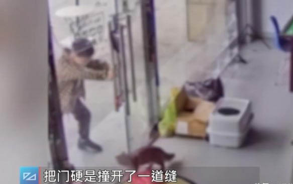 請(qǐng)問(wèn)貓咪嘔吐的原因及處理方法?