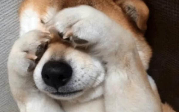 狗狗肺水腫能活多久