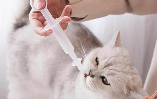 請問貓咪嘔吐的原因及處理方法？