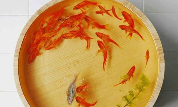 魚線怎么綁在魚竿上