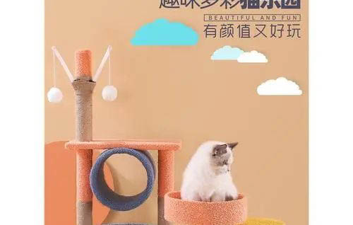 貓吐褐色液體稠稠的還有泡沫