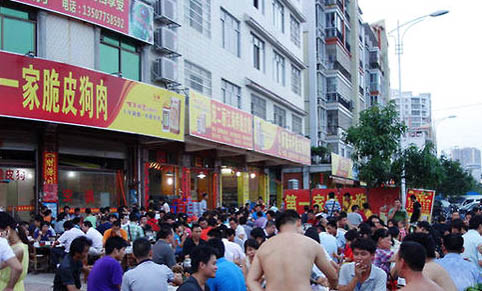 狗狗營養(yǎng)不良有哪些特征