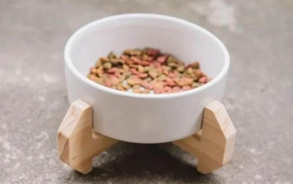 貓草要多久喂一次