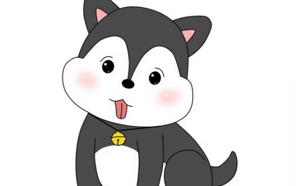 犬瘟好轉(zhuǎn)跡象有哪些表現(xiàn)