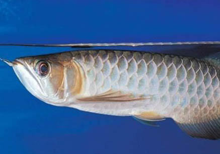 秋冬季好釣魚嗎?