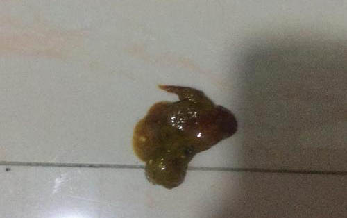 小狗腹瀉嘔吐怎么治療方法