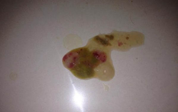 狗不想養(yǎng)了送到哪里去
