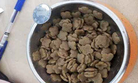 鮮肉狗糧哪個(gè)牌子好