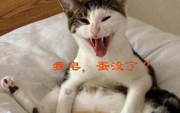狗狗喉嚨有東西被卡住了咋辦
